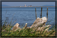 New Dungeness Lighthouse  Sequim, WA