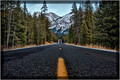 The Road to Yellowstoone