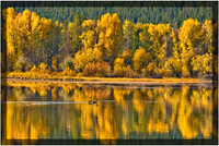 Autumn Reflection
