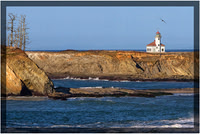 Cape Arago Oregon