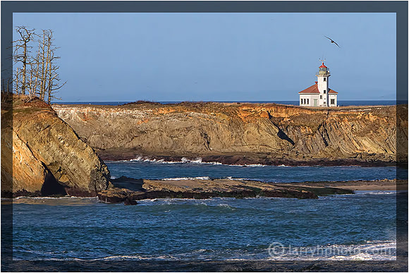 Cape Arago Oregon